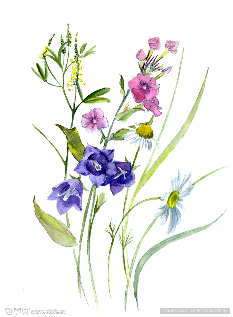 水彩花