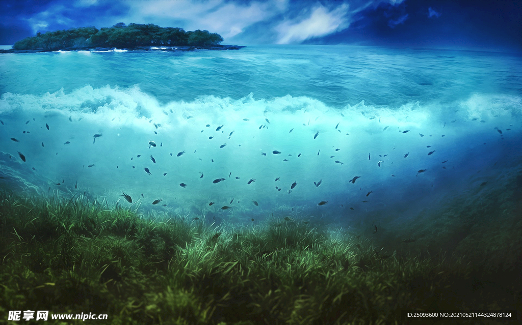 海底生态