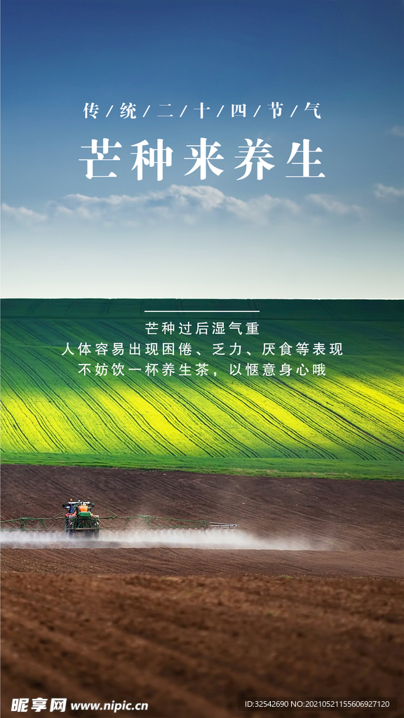 芒种 二十四节气