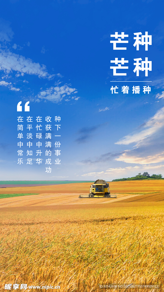 芒种 二十四节气