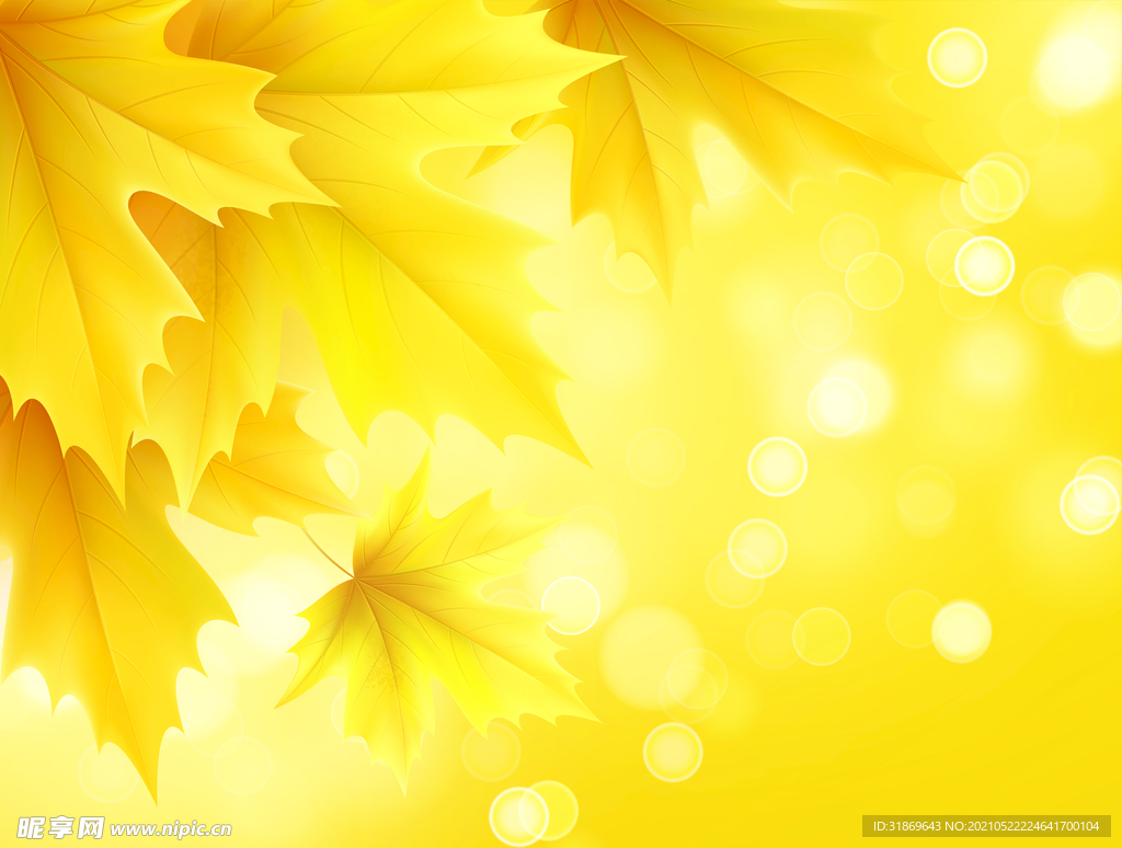 背景模板 展板背景      