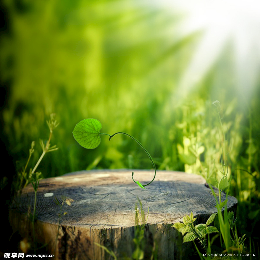 淘宝无线端直通车绿色主图背景