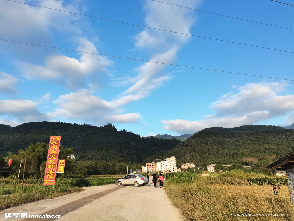 乡野路花村