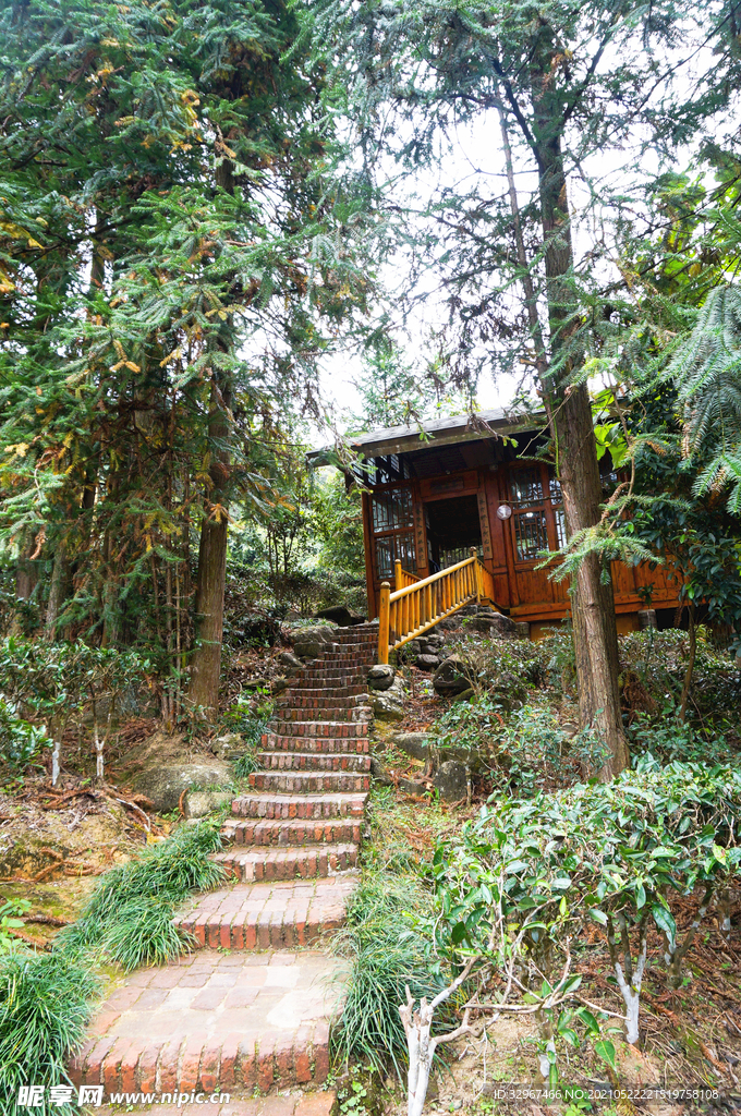 姑婆山方家茶园