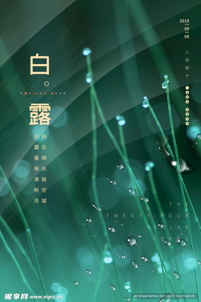 白露节气传统活动海报素材