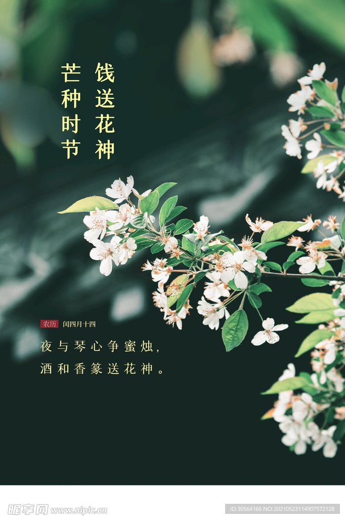 芒种节气传统活动海报素材