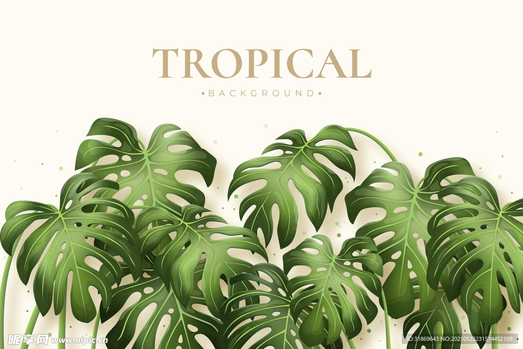 背景模板 展板背景      