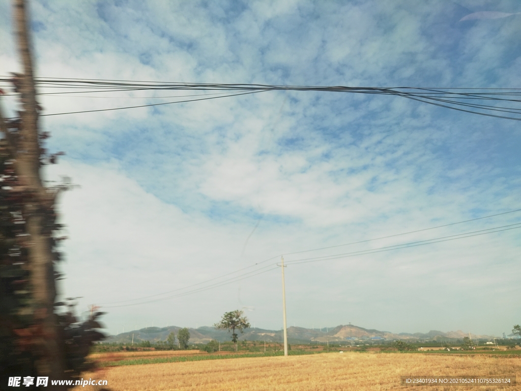 夏日晴空金色麦田乡村生活