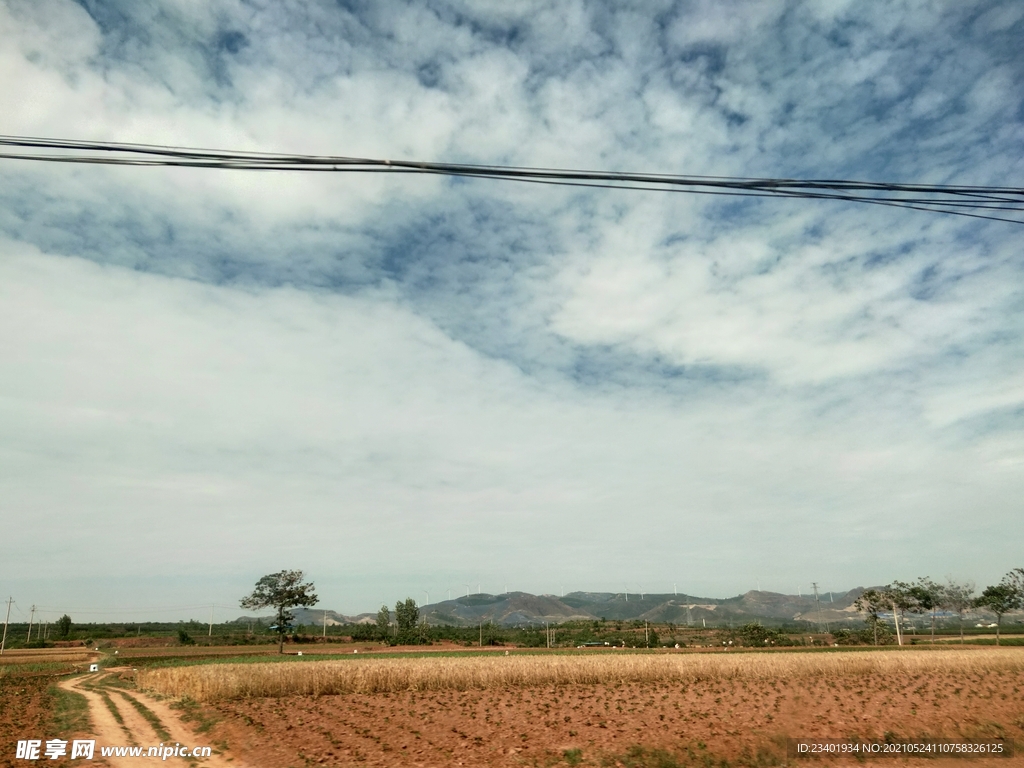 黄色土地金色麦田乡村生活蓝天