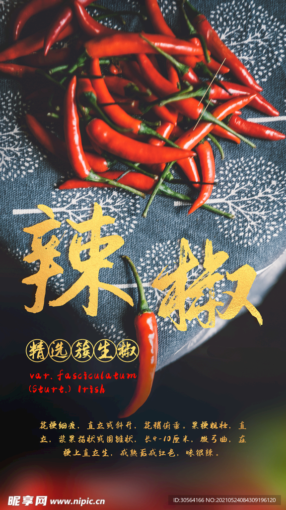 辣椒食材活动宣传海报素材