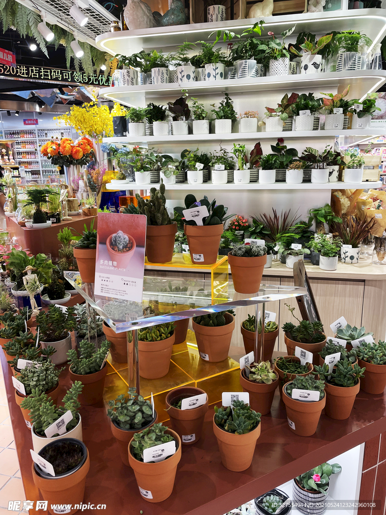 绿植店