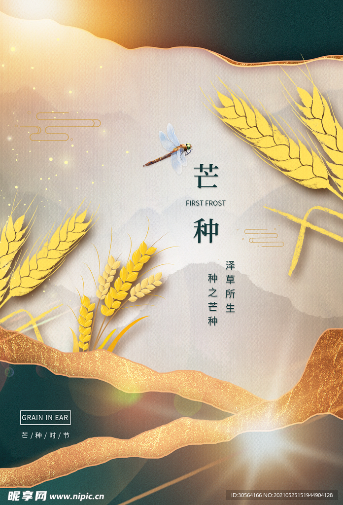 芒种节气传统活动宣传海报素材