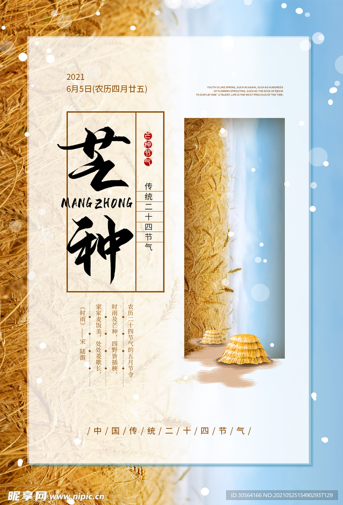 芒种节气传统活动宣传海报素材
