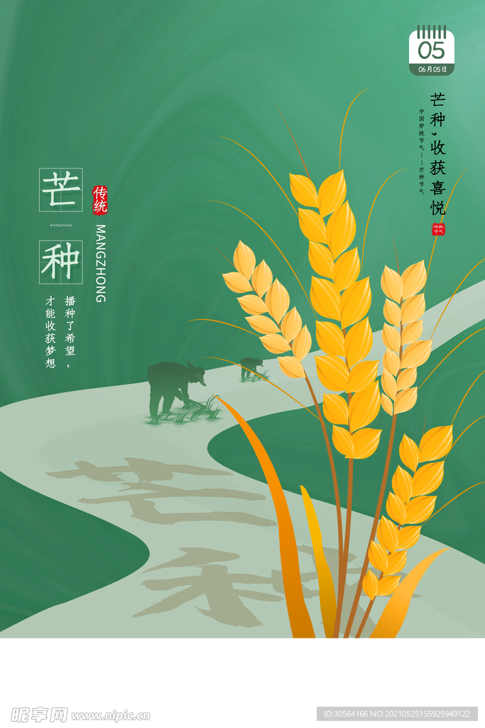 芒种节气传统活动宣传海报素材