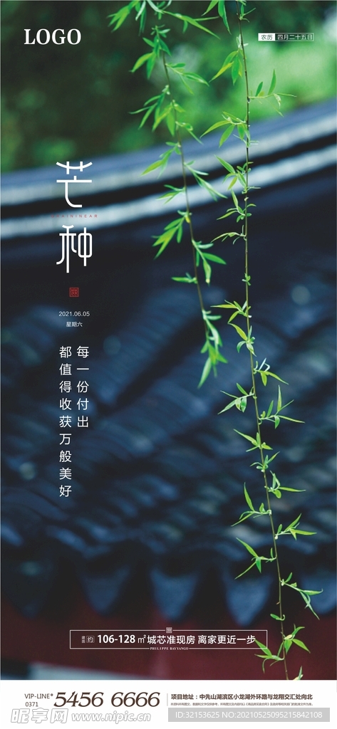 芒种