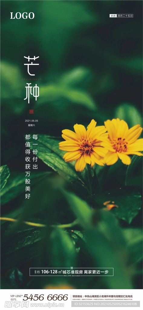 芒种