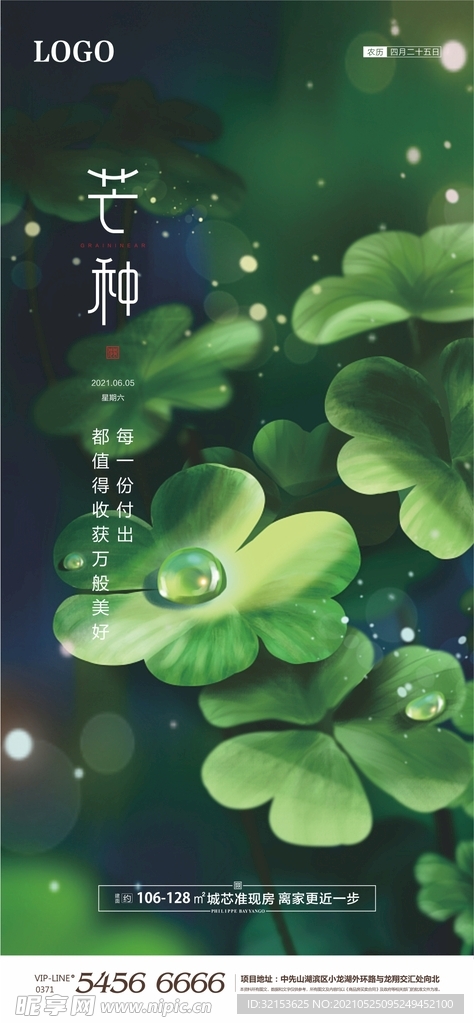 芒种