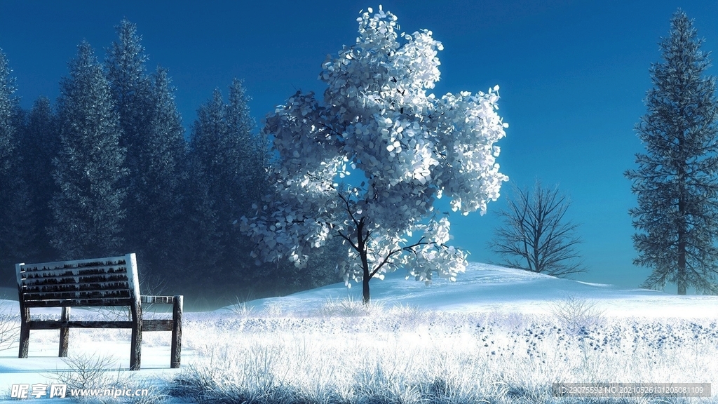 雪景