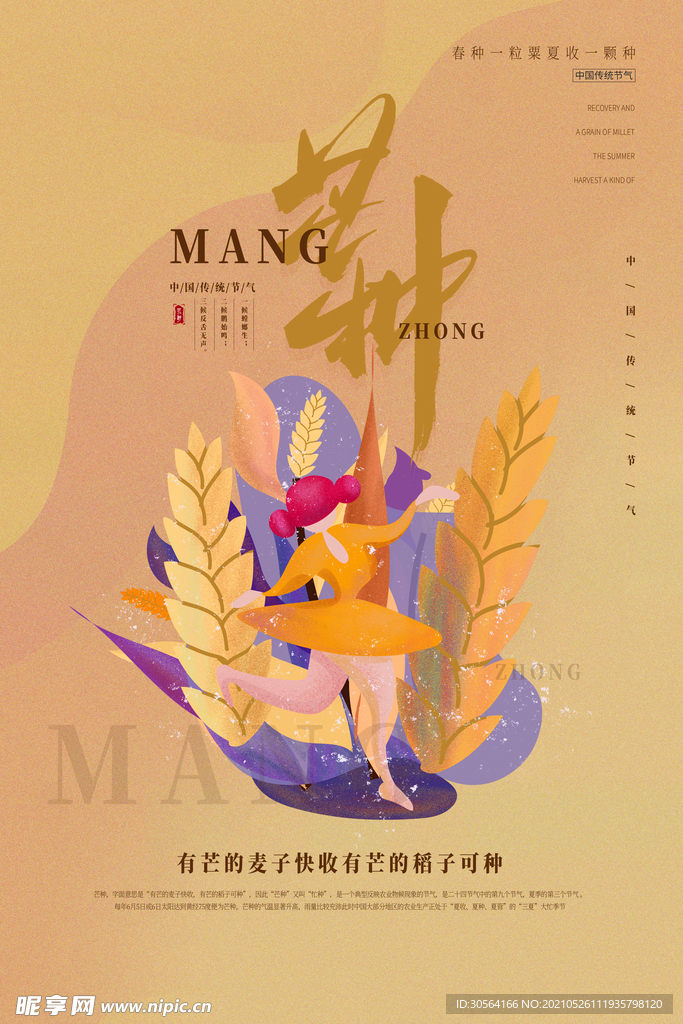 芒种节气传统活动宣传海报素材