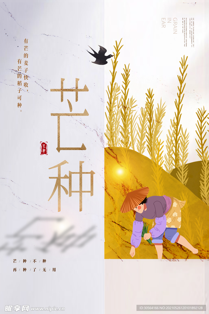 芒种节气传统活动宣传海报素材