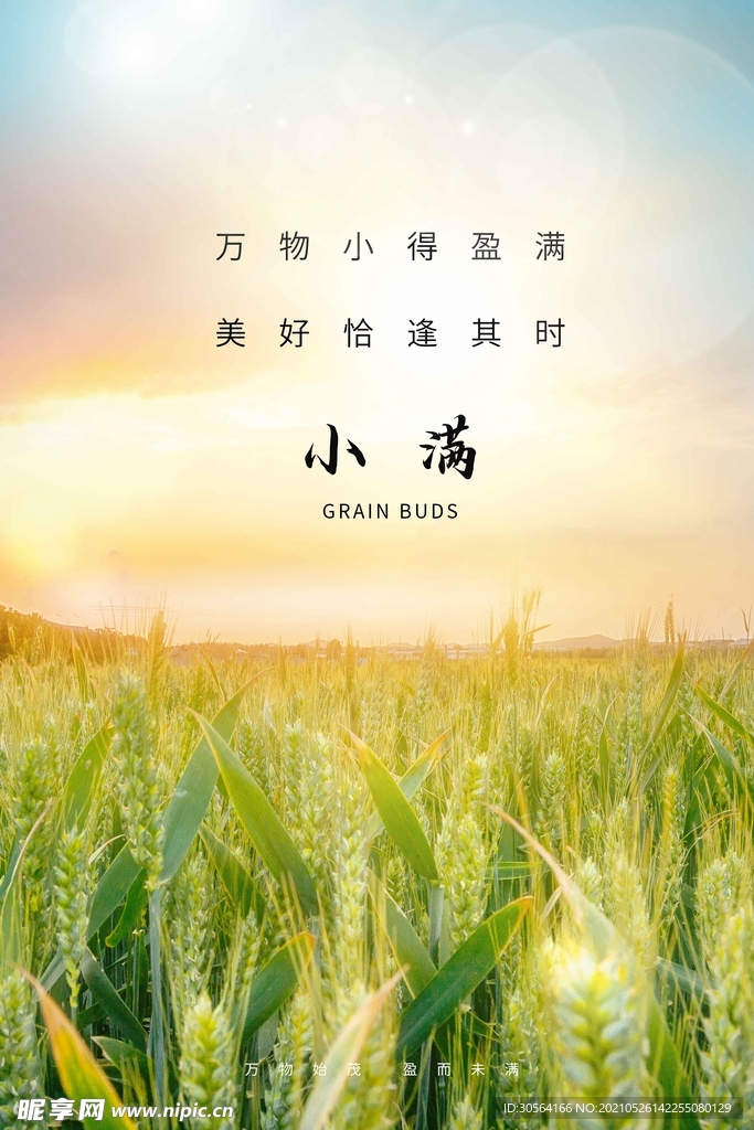 小满节气传统活动海报素材