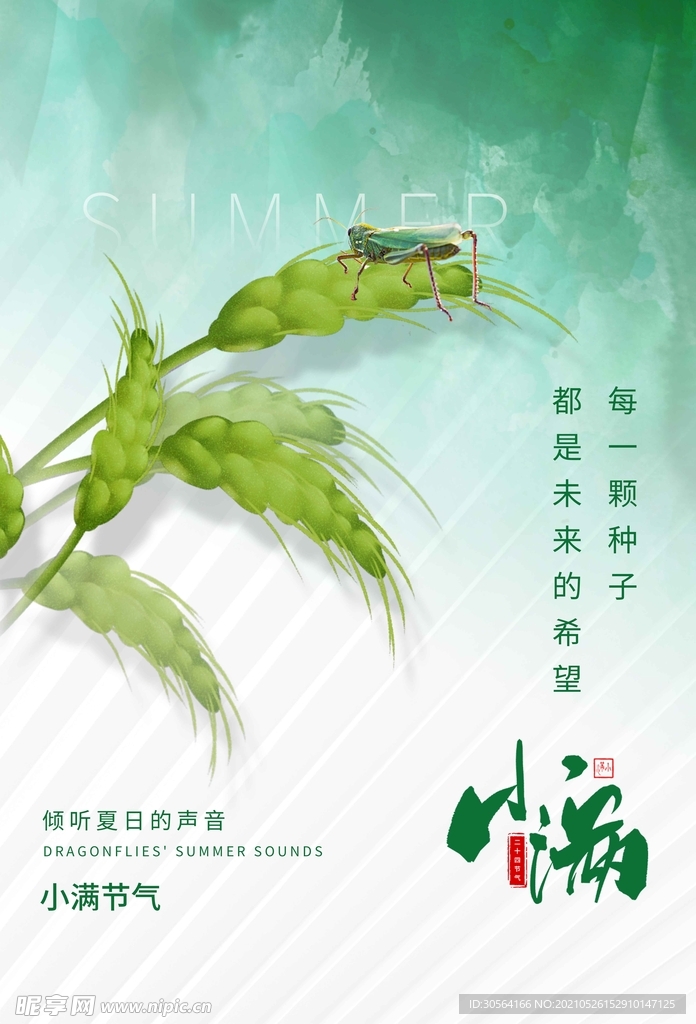 小满节气传统活动海报素材