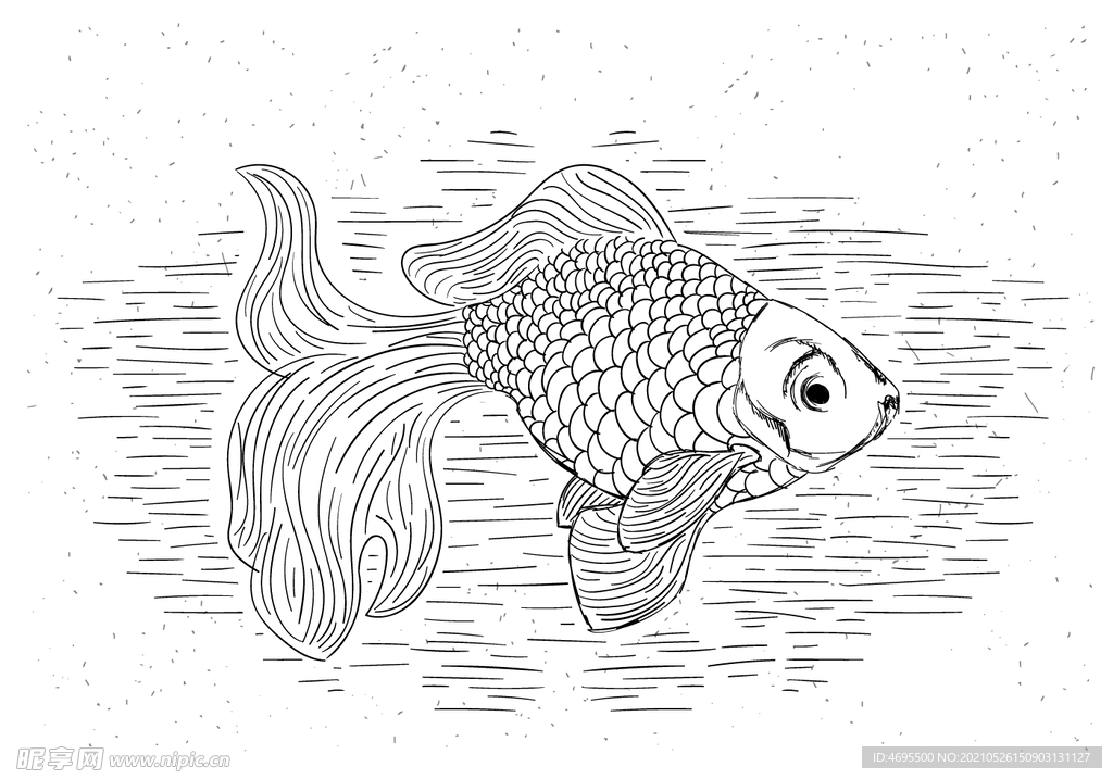 手绘金鱼矢量图