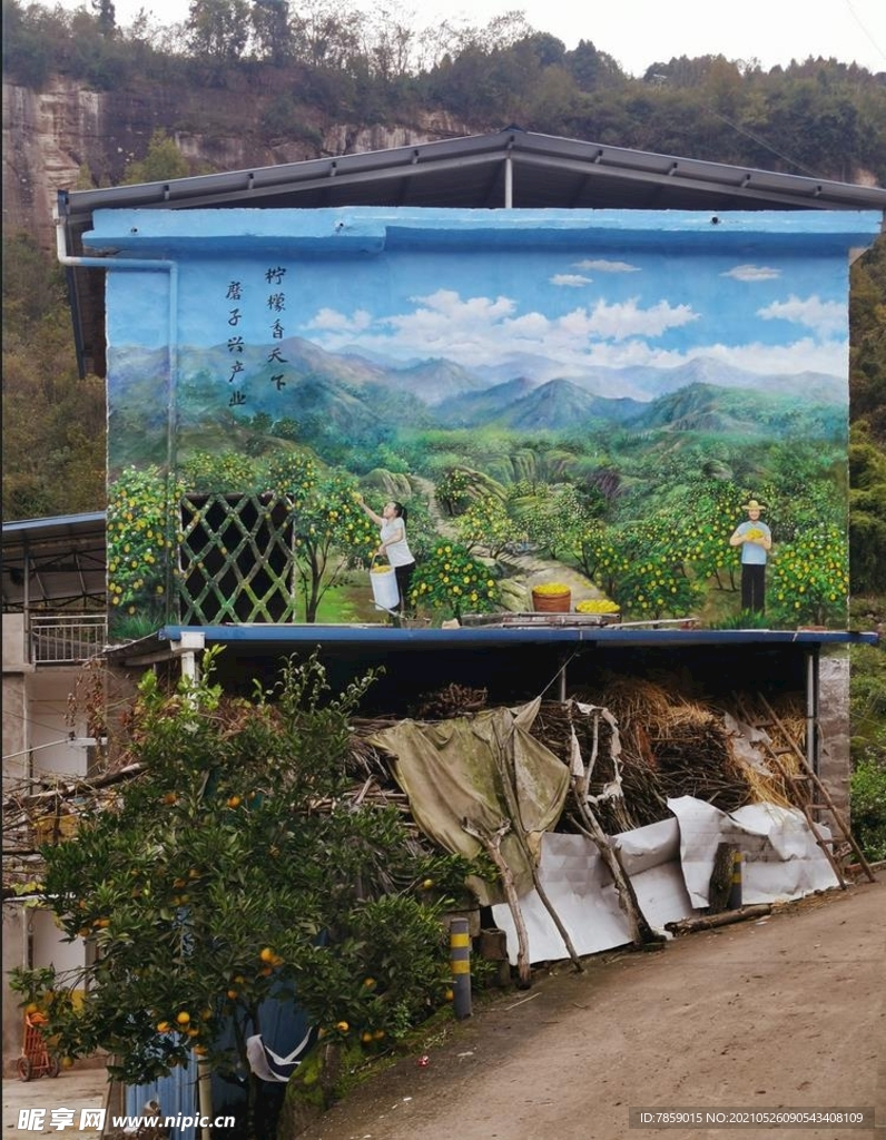 乡村墙绘