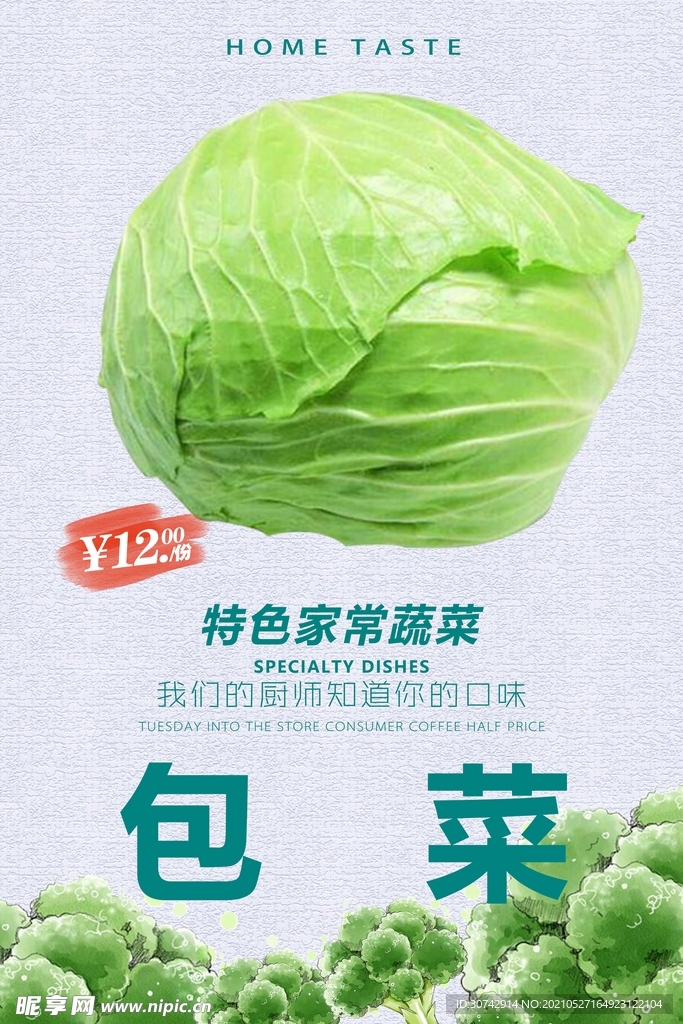包菜
