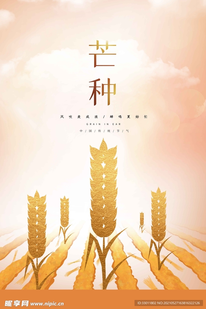 芒种节气传统活动宣传海报素材