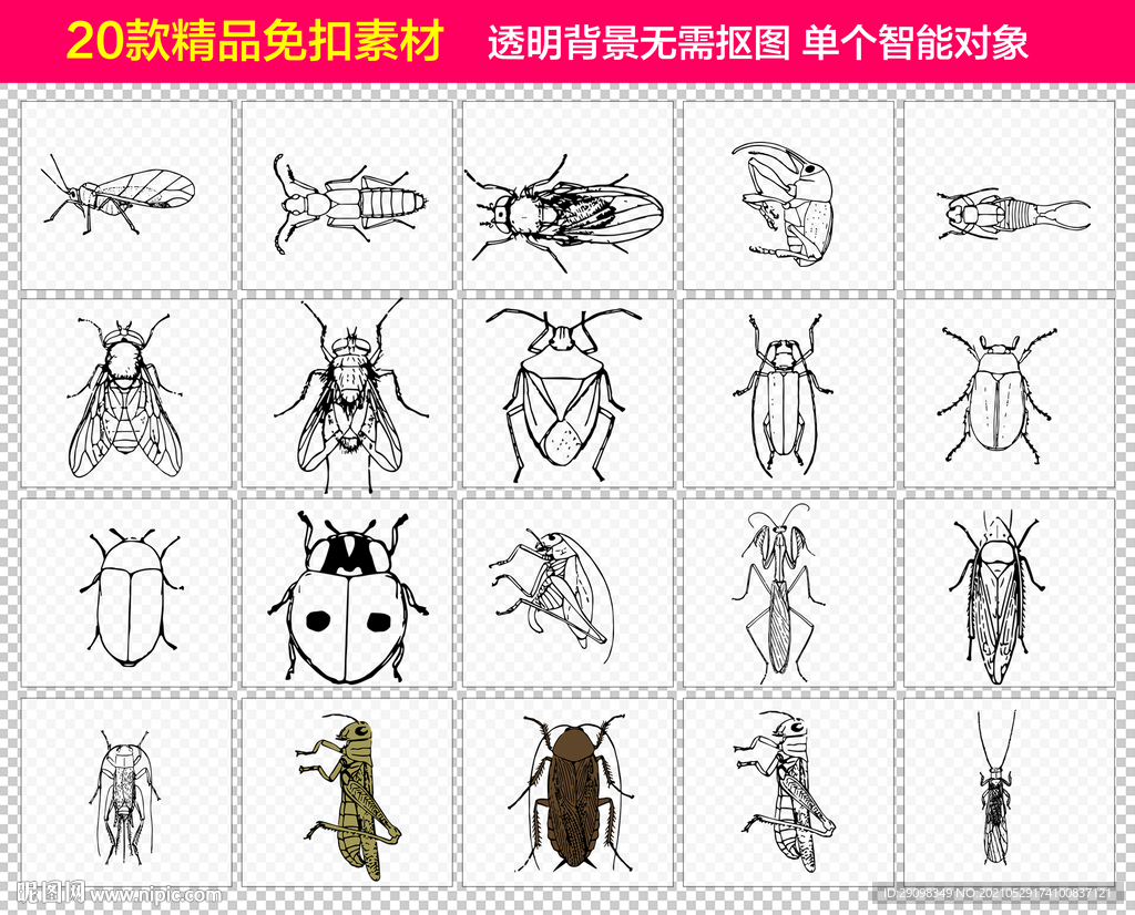 昆虫免抠素材