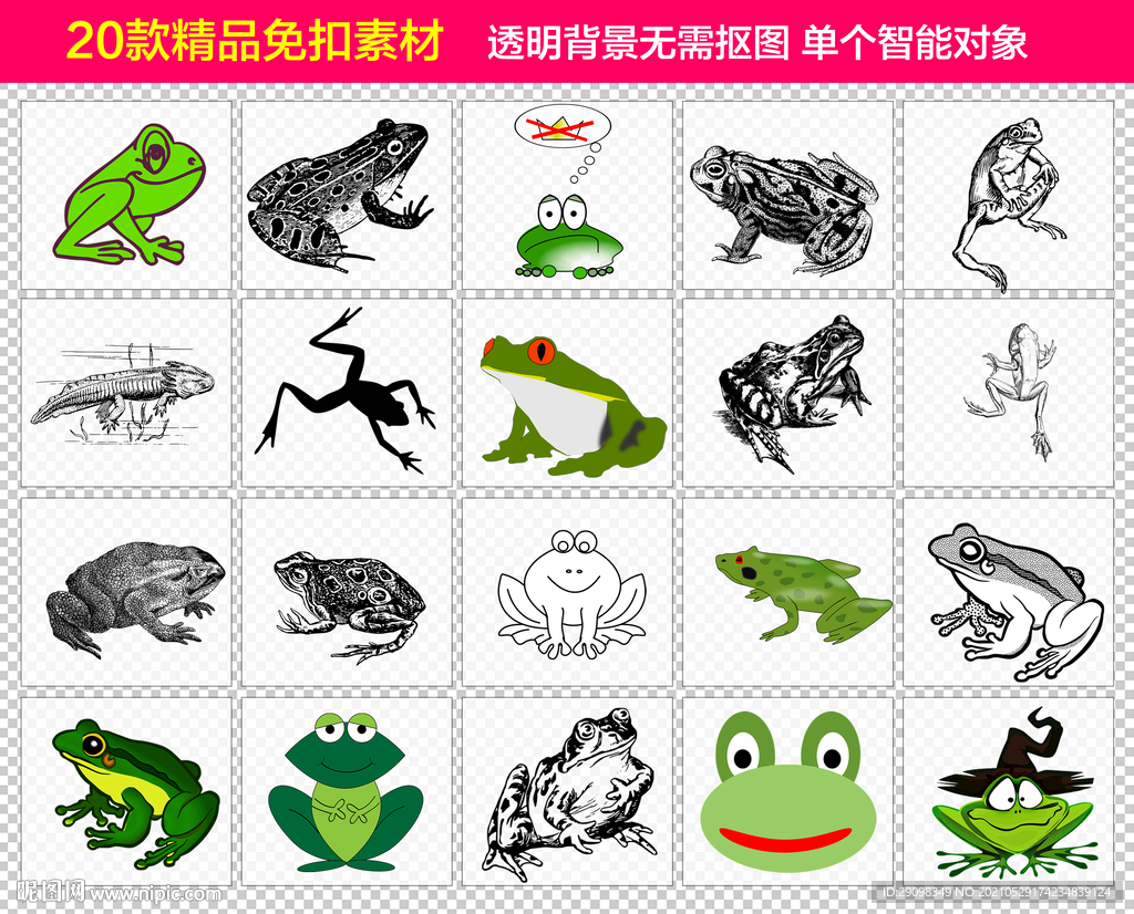 青蛙免抠素材