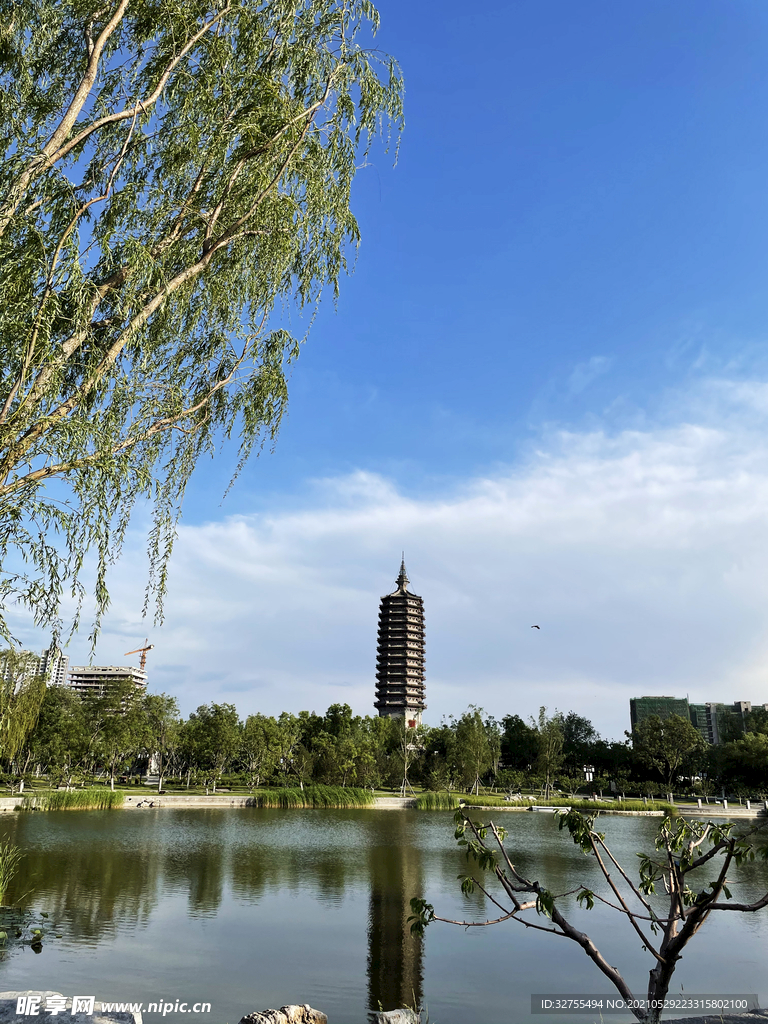 城市公园