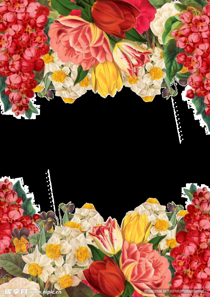 手绘鲜花边框