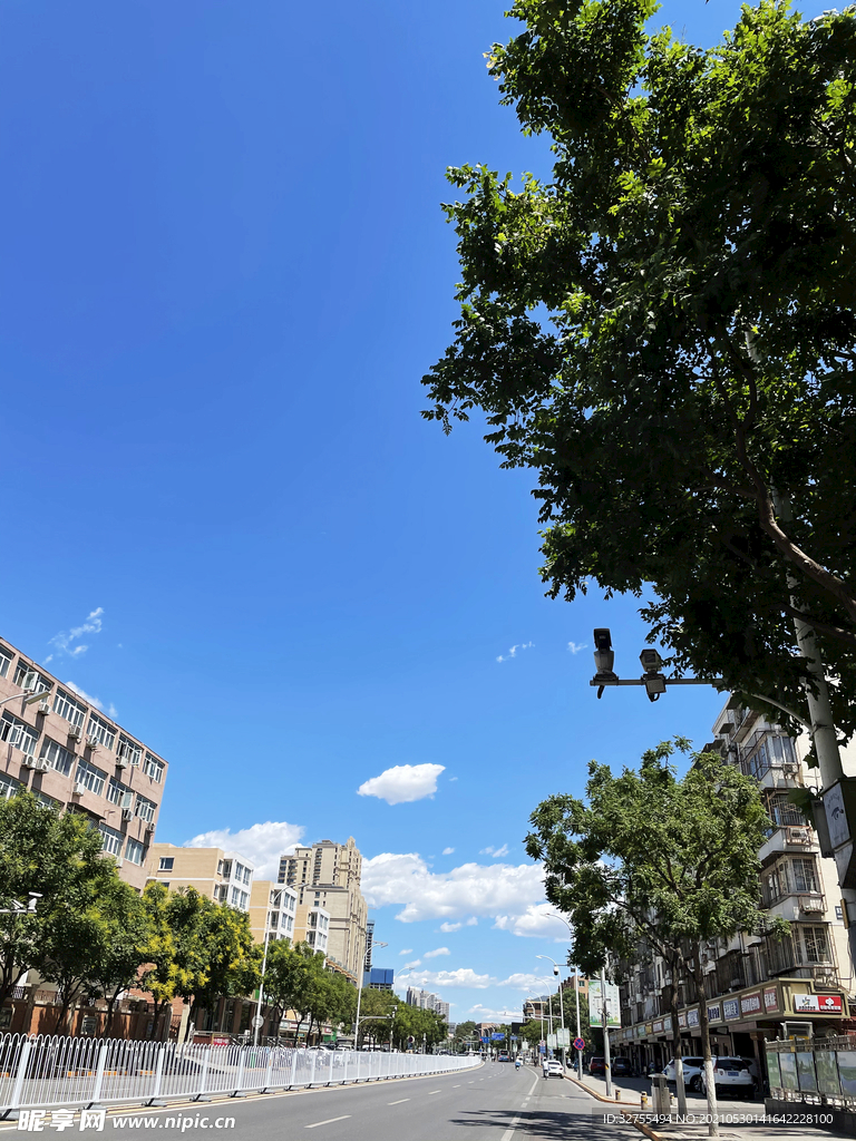 城市道路