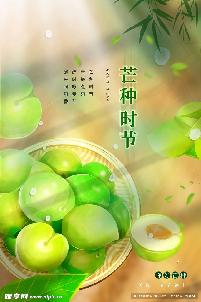 芒种节气传统活动宣传海报素材