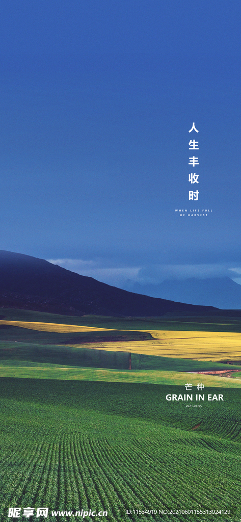 芒种节气海报