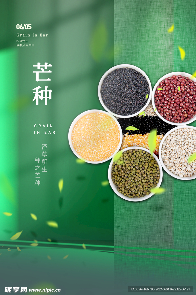 芒种节气传统活动宣传海报素材