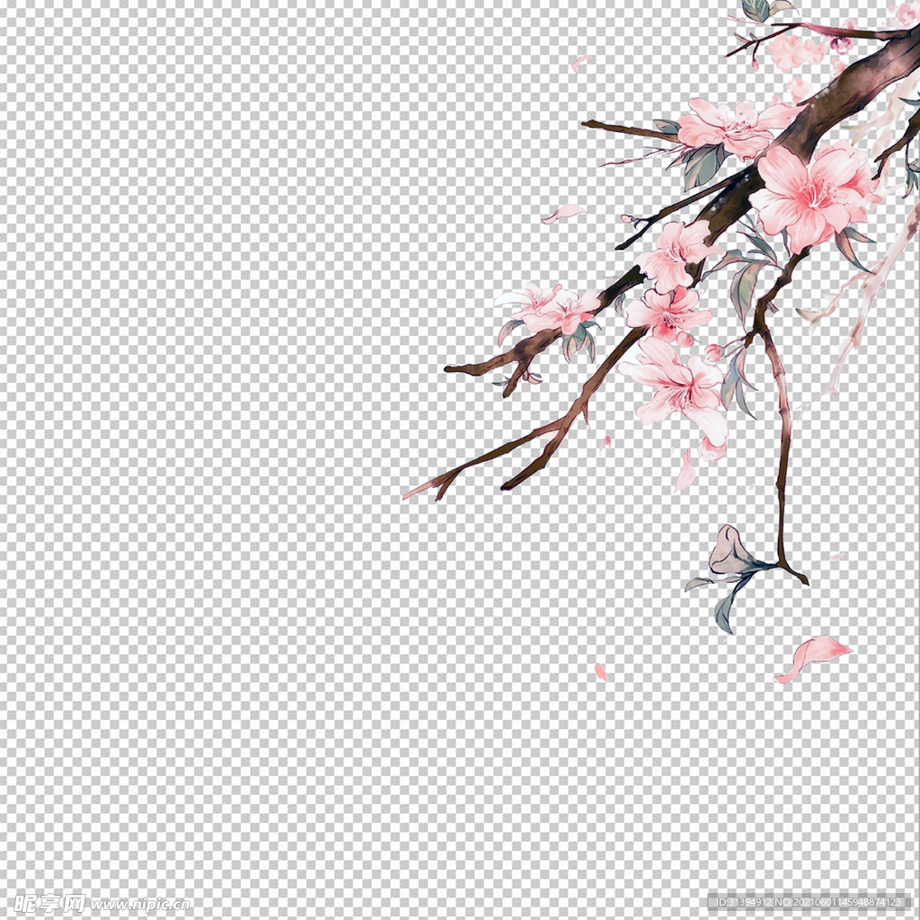 花瓣