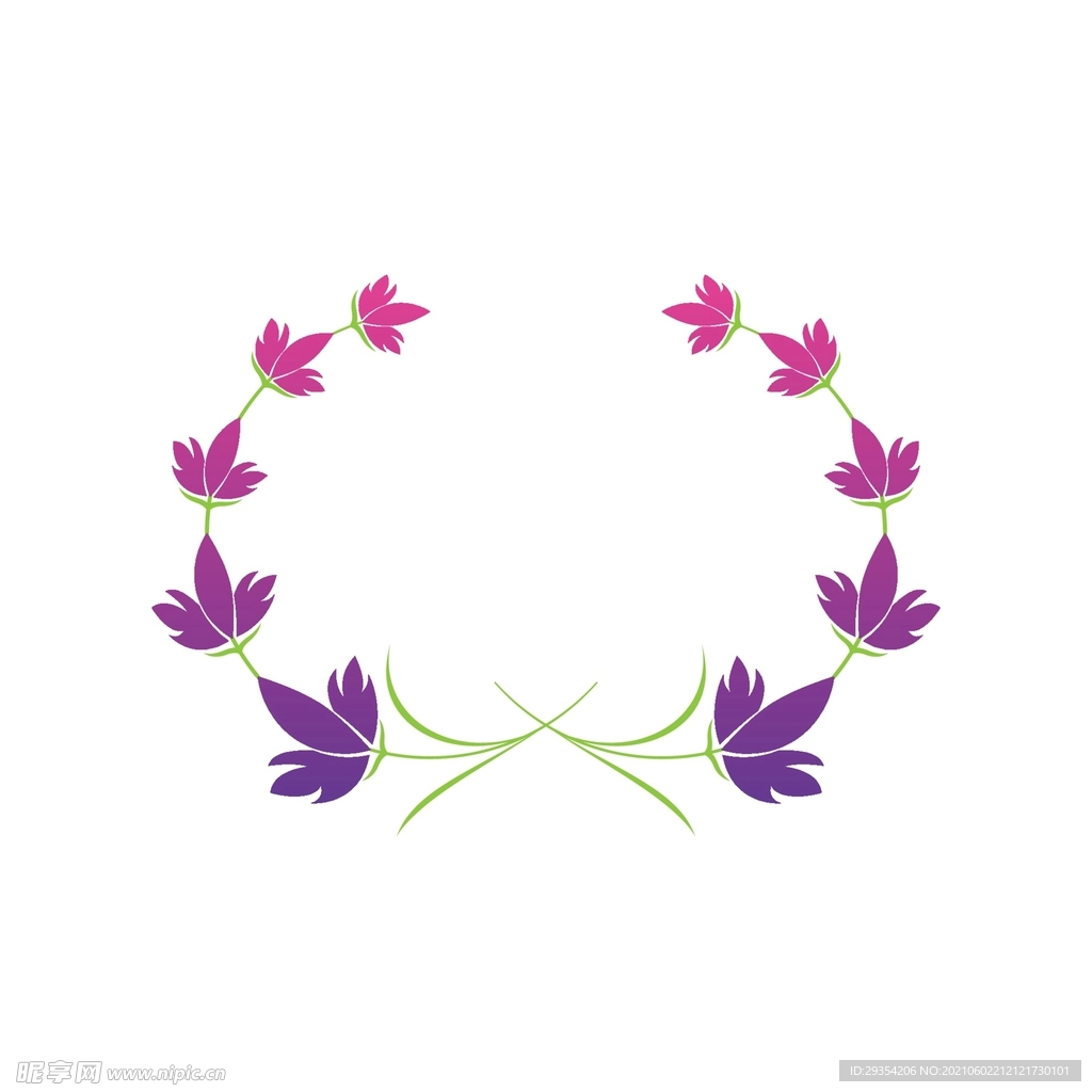 鲜花图片