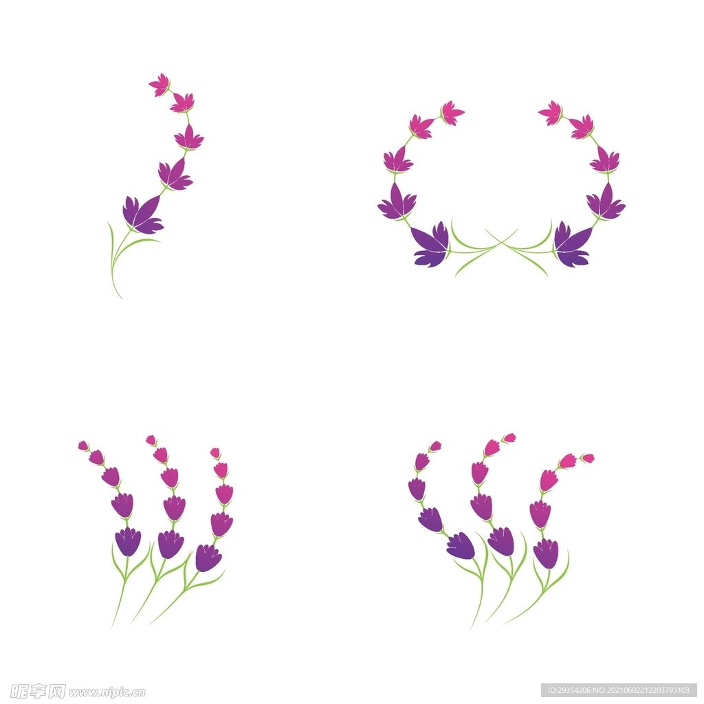 鲜花图片