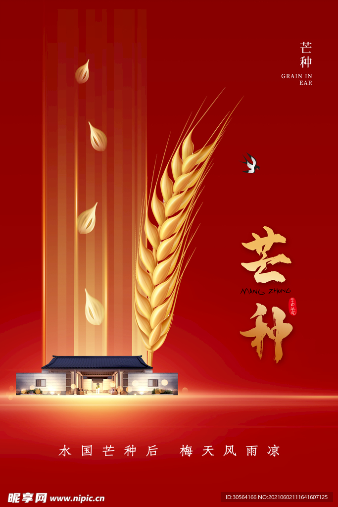 芒种节气传统活动宣传海报素材