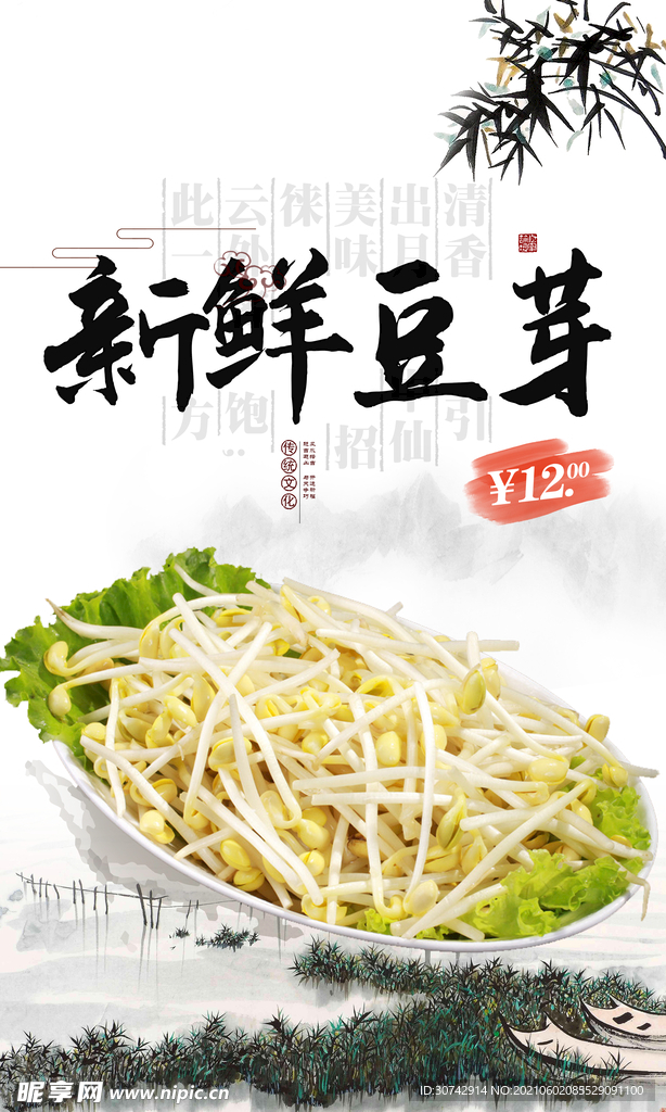 豆芽