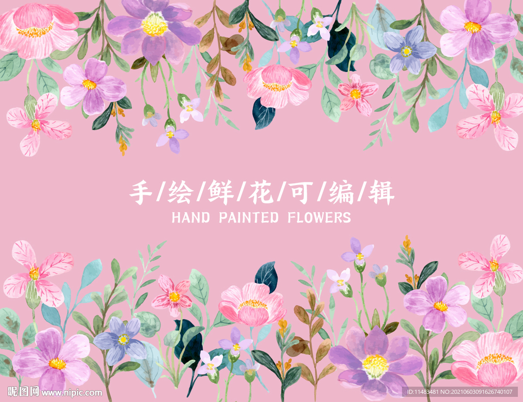 手绘鲜花