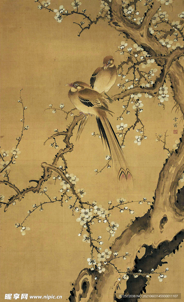 花鸟