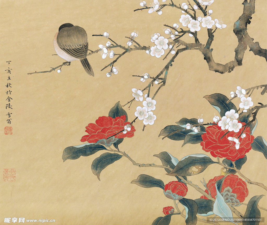 花鸟