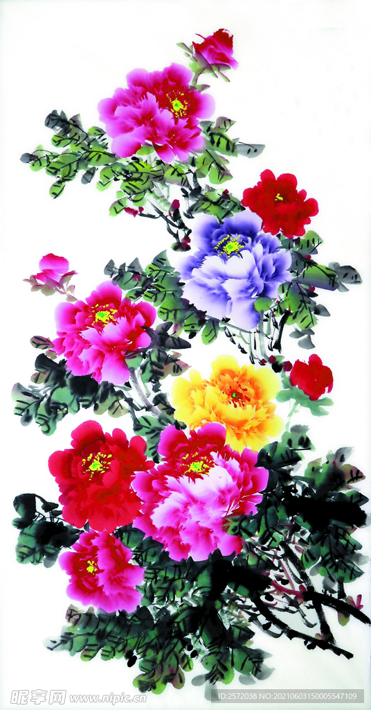 富贵花开