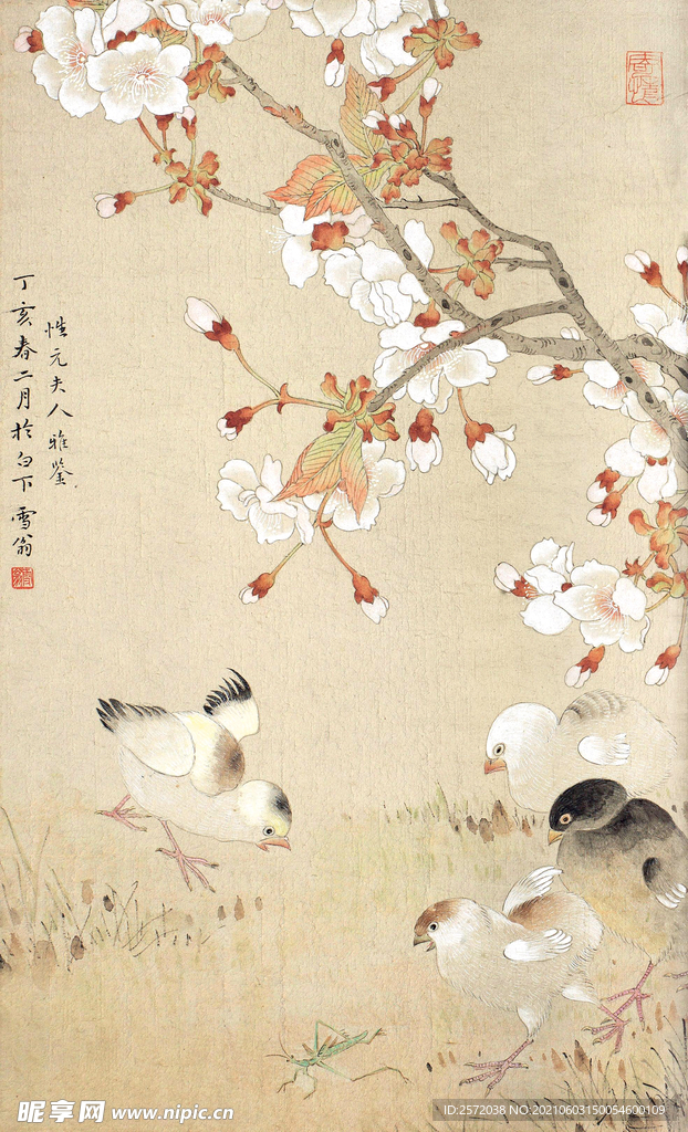 花鸟