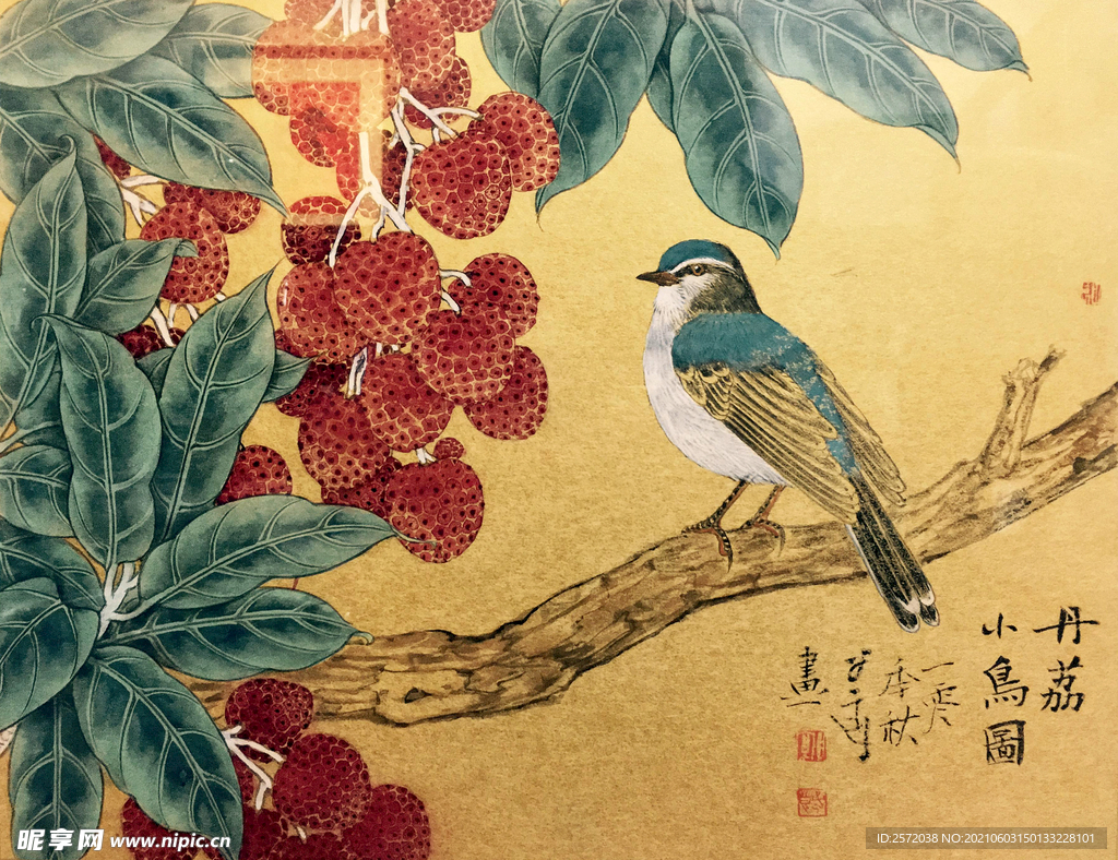 丹荔小鸟图