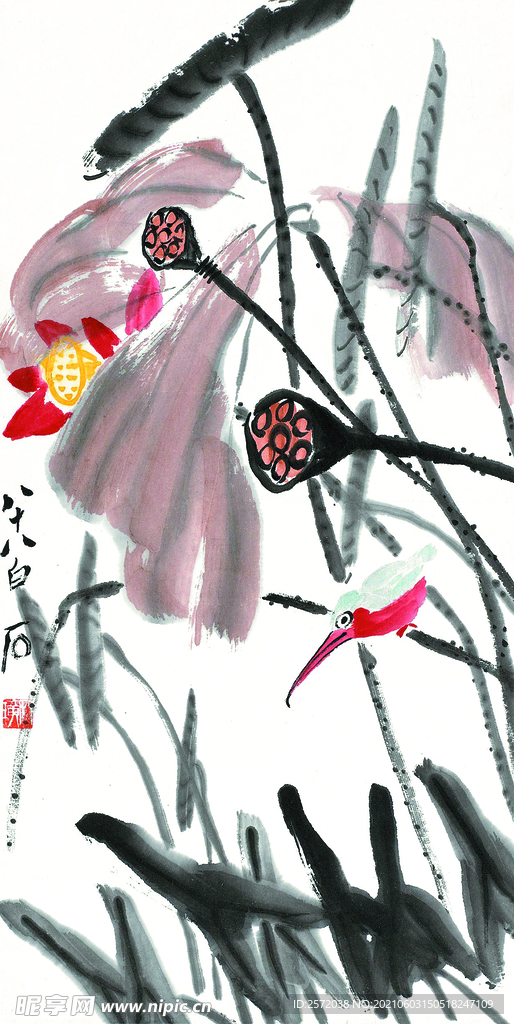 荷花翠鸟